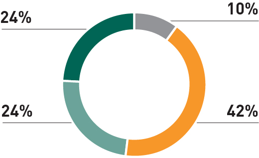 piechart_executivechairman.jpg